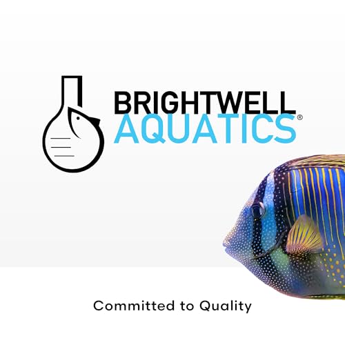 Brightwell Aquatics SpongExcel – Ionic Silica for Marine Aquariums