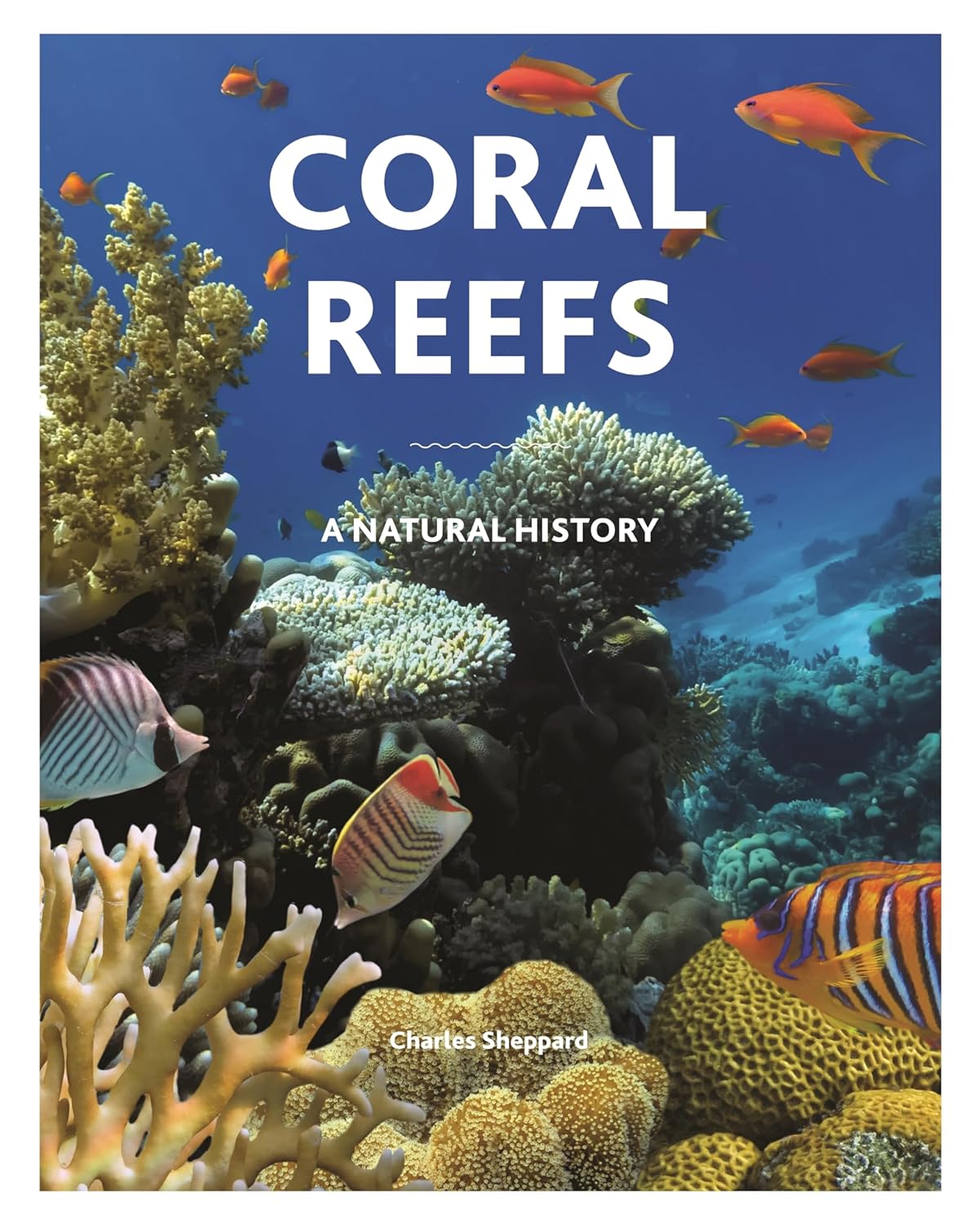 Coral Reefs: A Natural History Hardcover – Aug. 17 2021