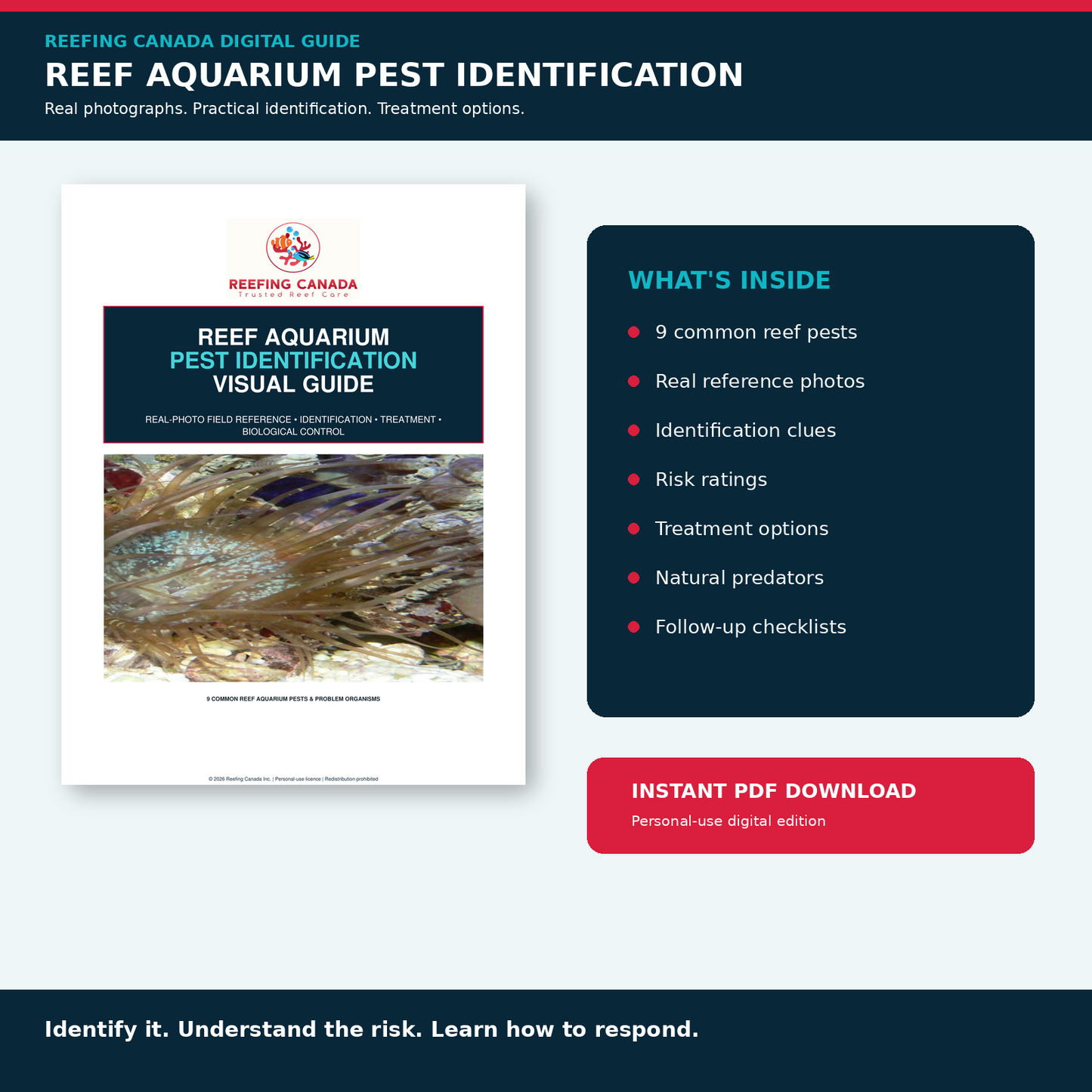 Reef Aquarium Pest Identification Visual Guide | Digital PDF