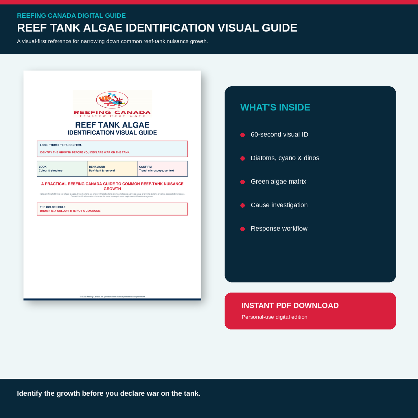 Reef Tank Algae Identification Visual Guide | Digital PDF