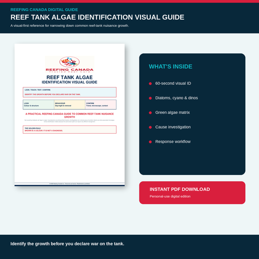 Reef Tank Algae Identification Visual Guide | Digital PDF