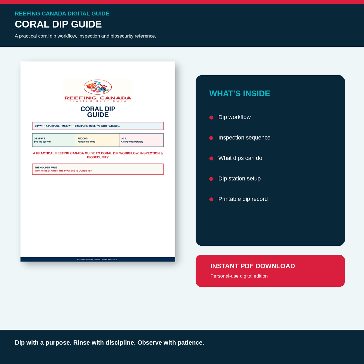 Reef Tank Coral Dip Guide | Digital PDF