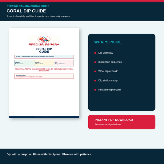 Reef Tank Coral Dip Guide | Digital PDF