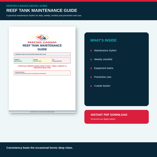 Reef Tank Maintenance Guide | Digital PDF