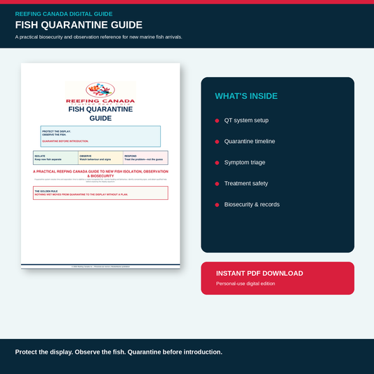 Reef Tank Fish Quarantine Guide | Digital PDF