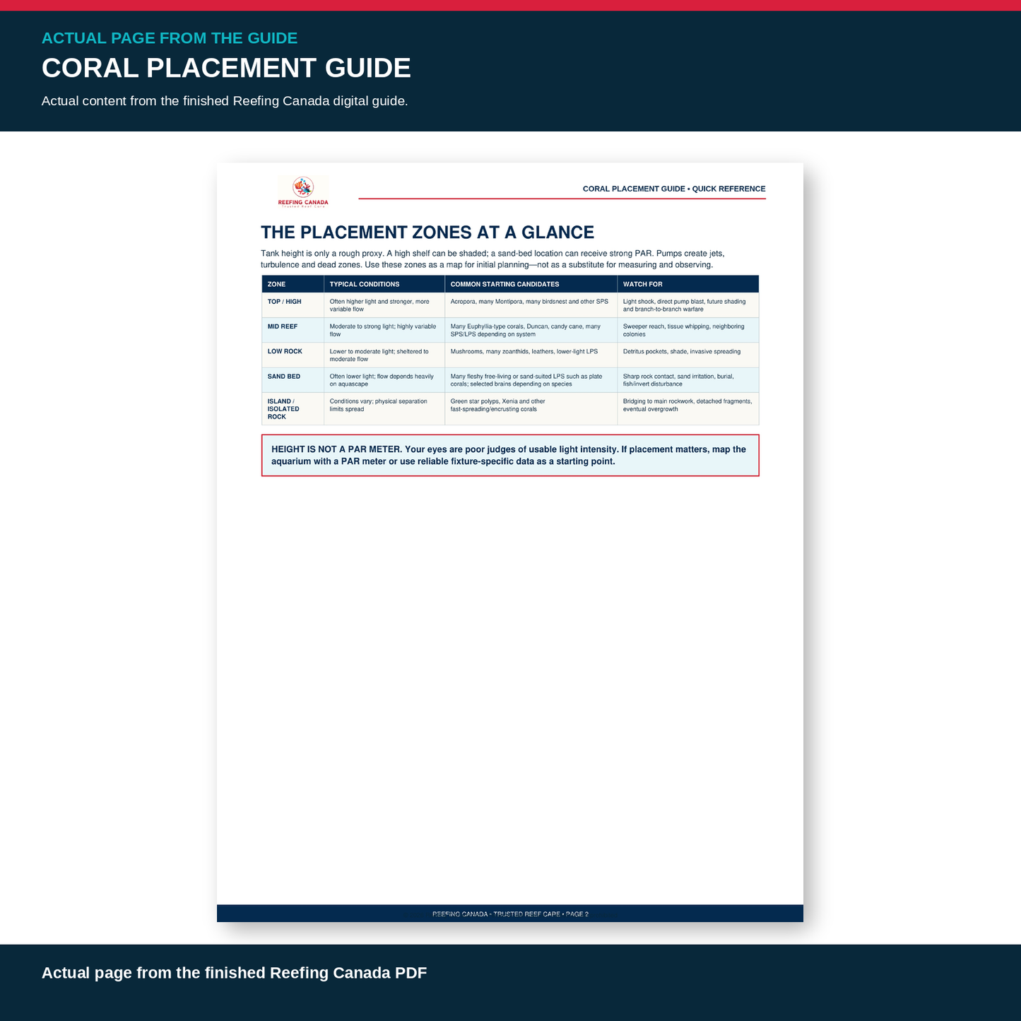 Reef Tank Coral Placement Guide | Digital PDF