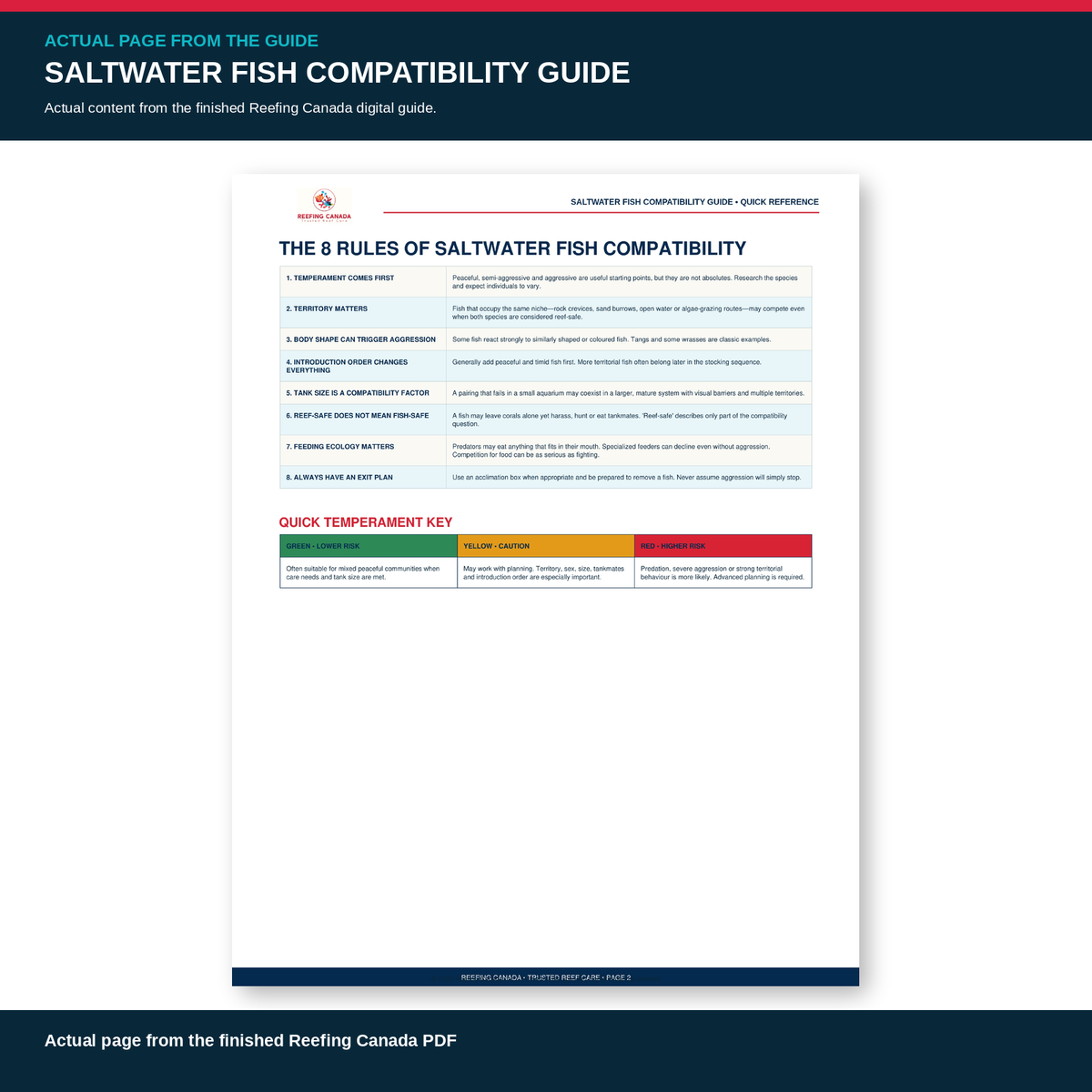 Reef Tank Saltwater Fish Compatibility Guide | Digital PDF