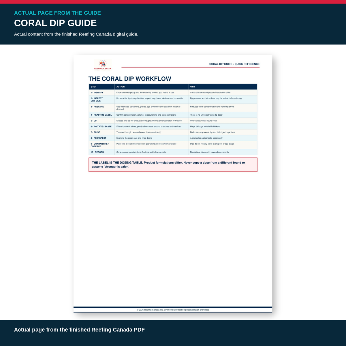 Reef Tank Coral Dip Guide | Digital PDF