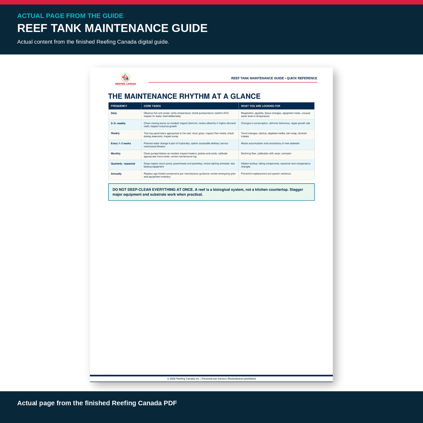 Reef Tank Maintenance Guide | Digital PDF