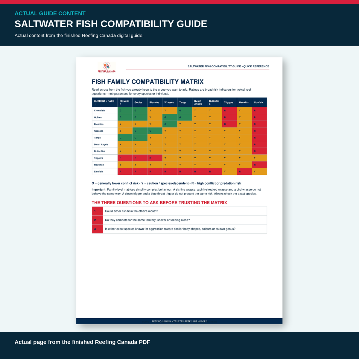 Reef Tank Saltwater Fish Compatibility Guide | Digital PDF