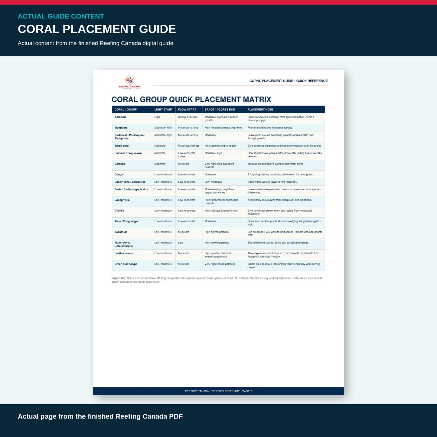 Reef Tank Coral Placement Guide | Digital PDF