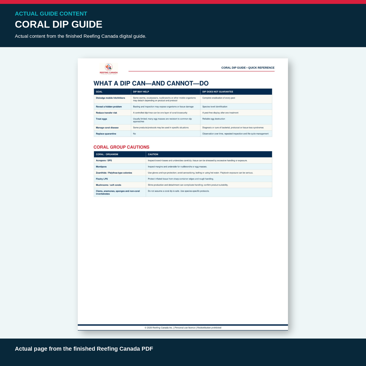 Reef Tank Coral Dip Guide | Digital PDF