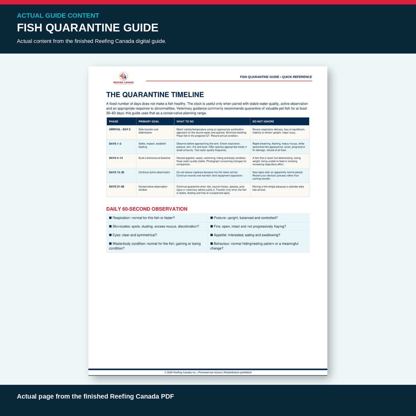 Reef Tank Fish Quarantine Guide | Digital PDF