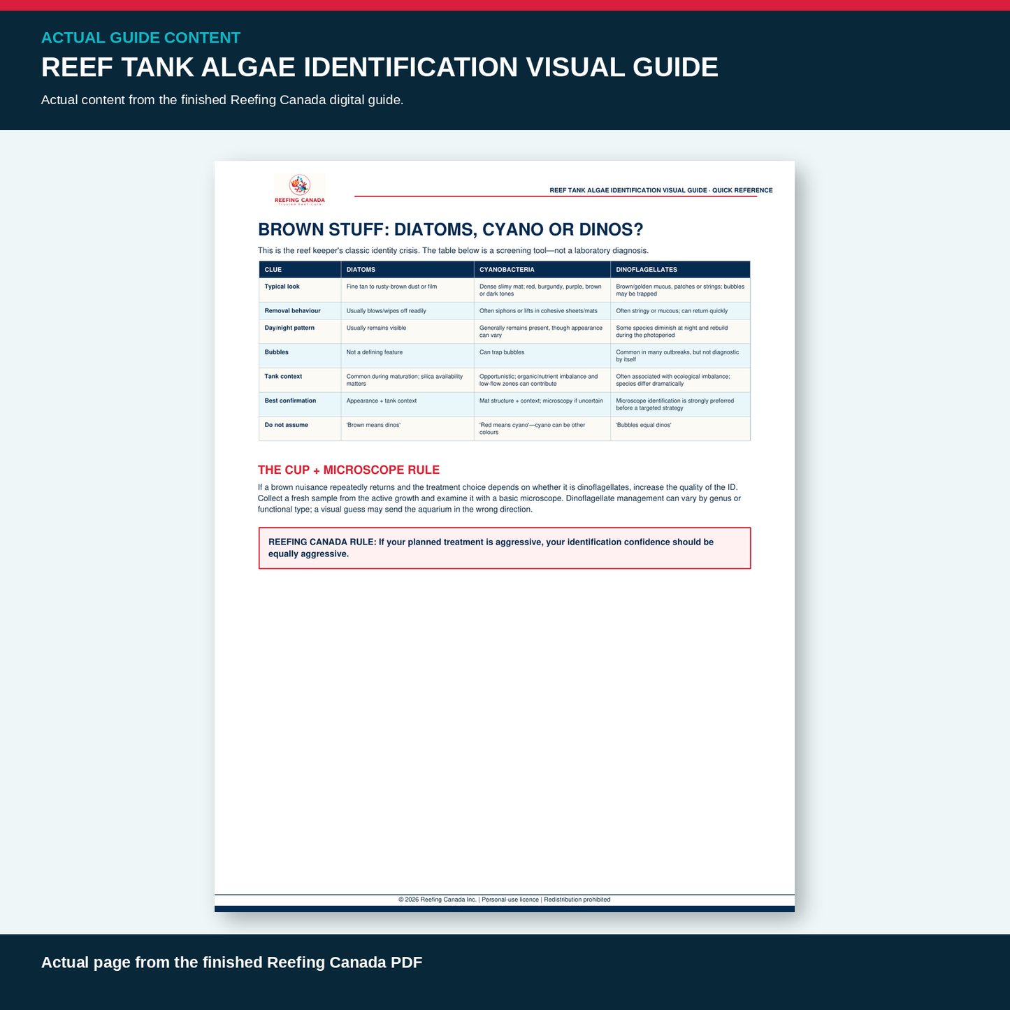 Reef Tank Algae Identification Visual Guide | Digital PDF