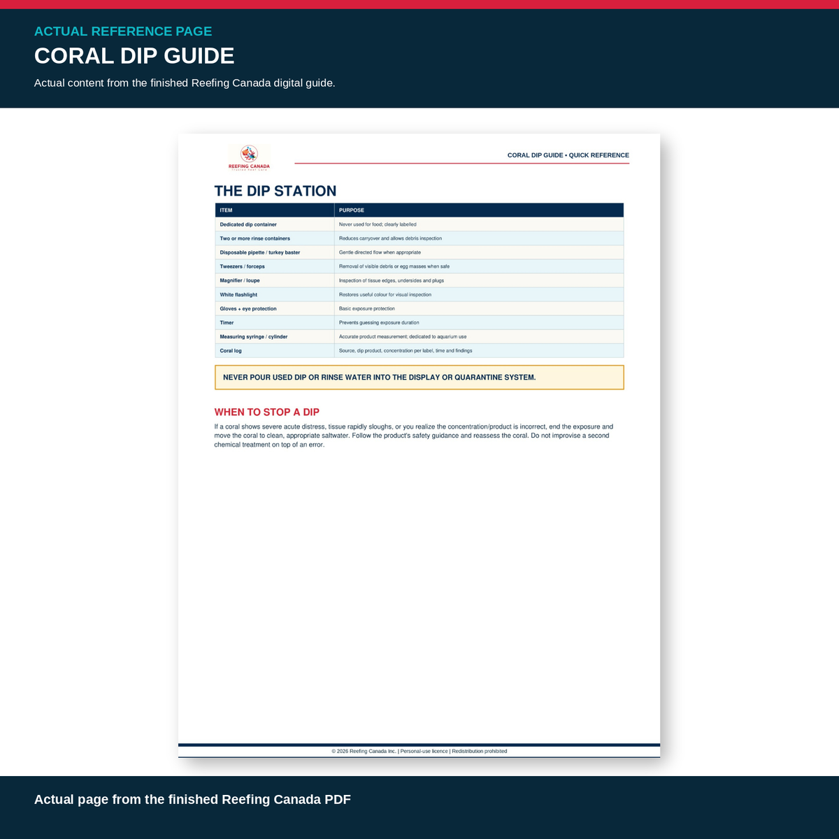 Reef Tank Coral Dip Guide | Digital PDF