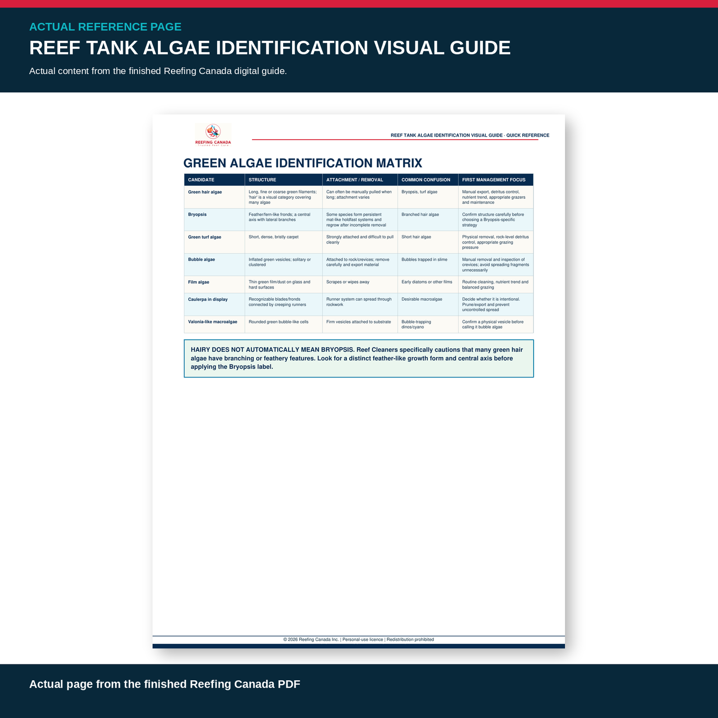 Reef Tank Algae Identification Visual Guide | Digital PDF