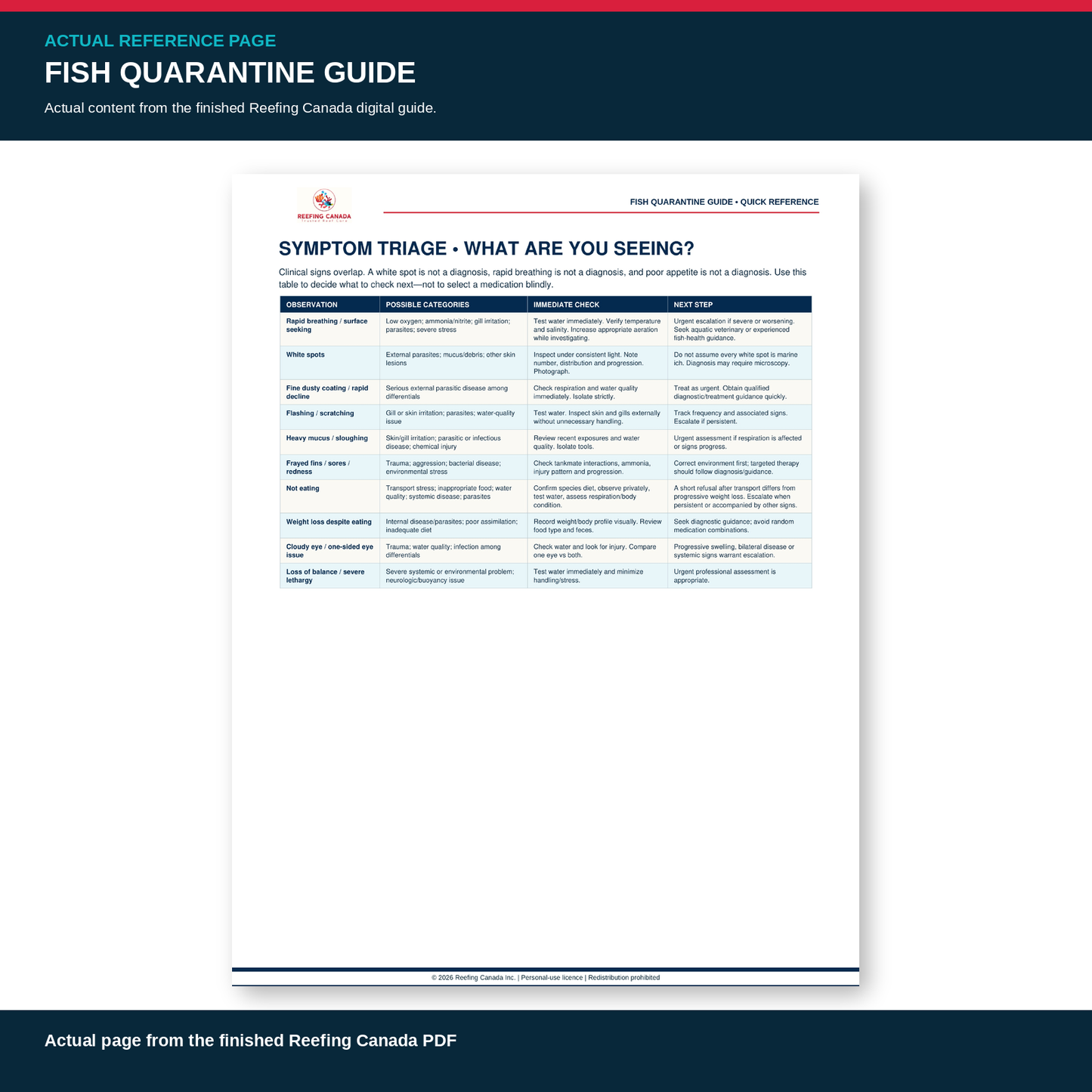 Reef Tank Fish Quarantine Guide | Digital PDF