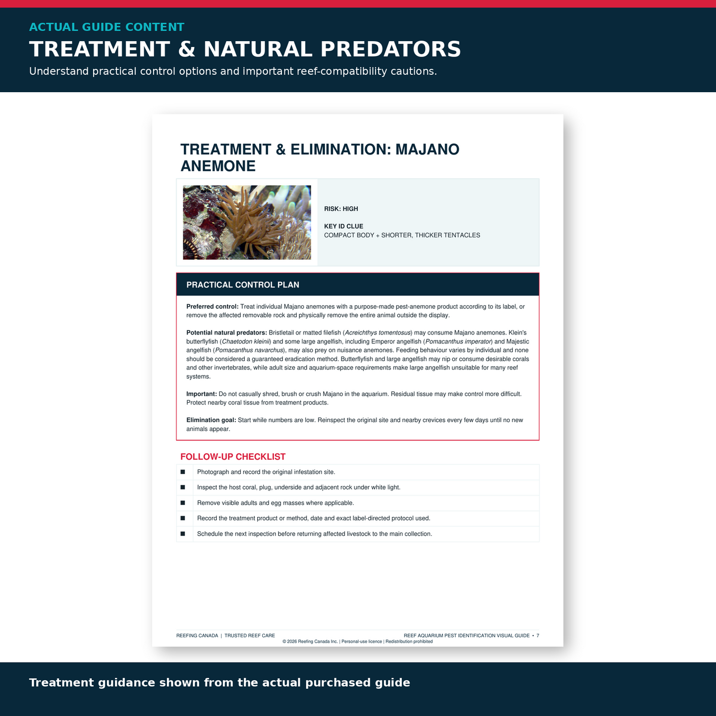 Reef Aquarium Pest Identification Visual Guide | Digital PDF