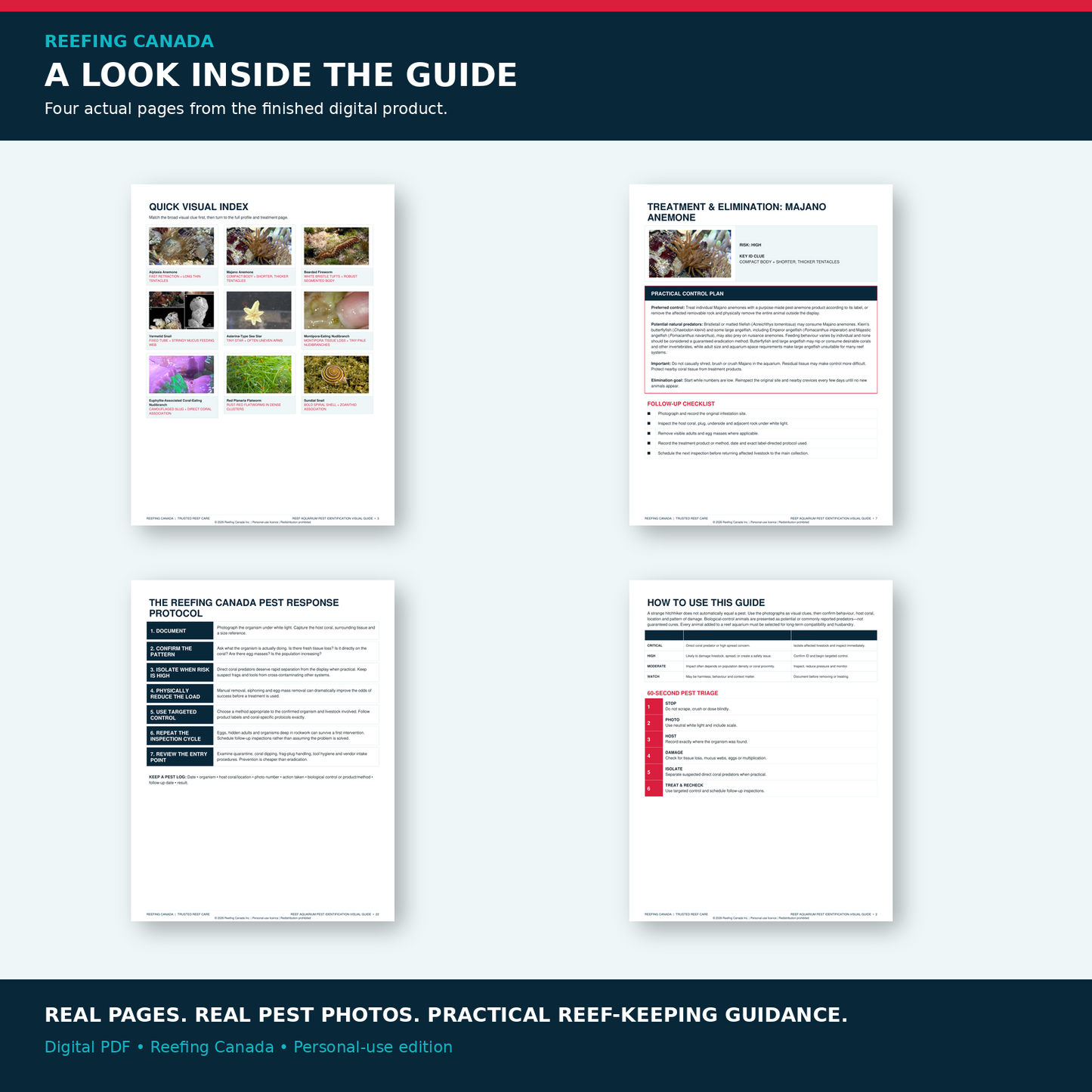 Reef Aquarium Pest Identification Visual Guide | Digital PDF