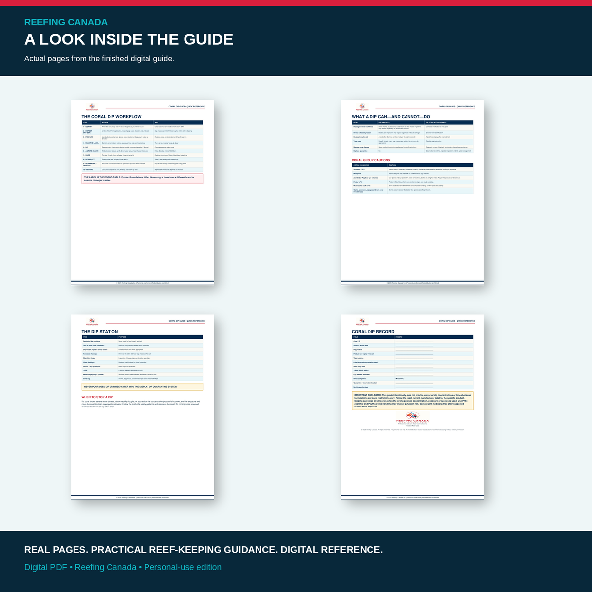 Reef Tank Coral Dip Guide | Digital PDF
