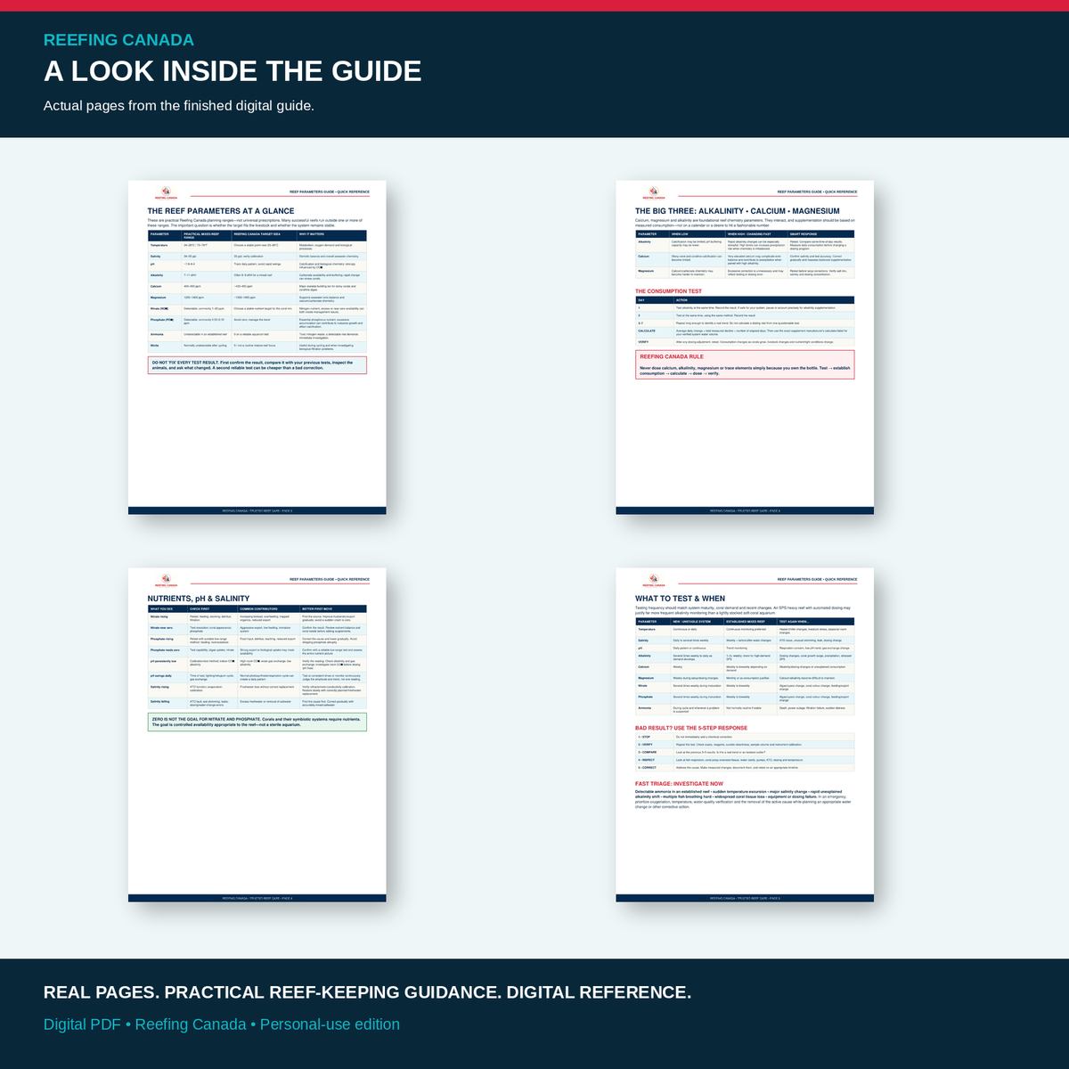 Reef Tank Parameters Guide | Digital PDF