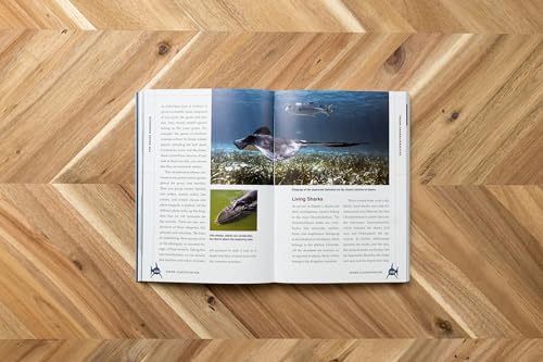 The Shark Handbook: Third Edition