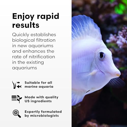 Brightwell Aquatics MicroBacter Start XLM - Saltwater Nitrifying Bacte