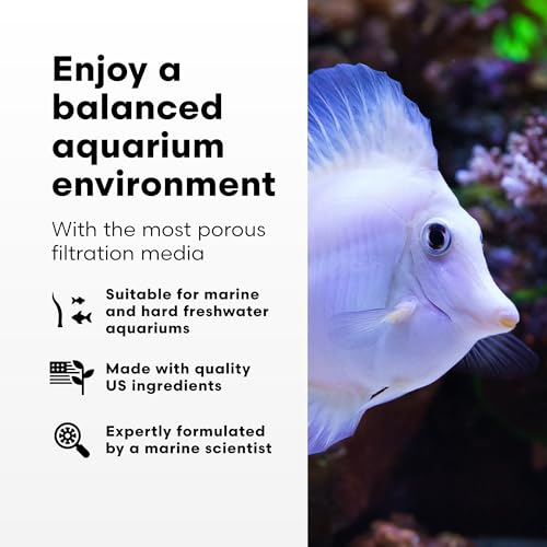 Brightwell Aquatics Xport-BIO Block Filter