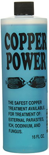 Copper Power Blue For Saltwater 16oz