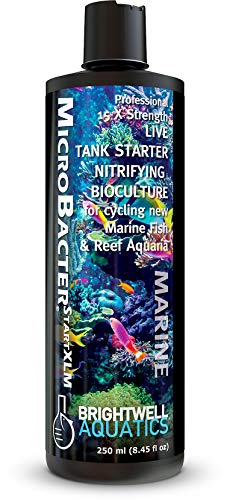 Brightwell Aquatics MicroBacter Start XLM - Saltwater Nitrifying Bacte