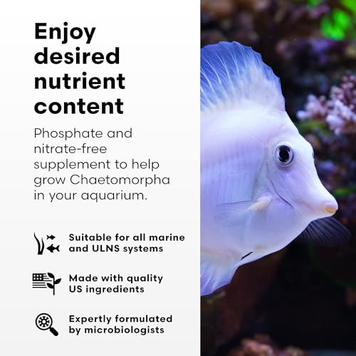 Brightwell Aquatics ChaetoGro Algae Supplement