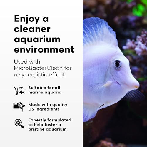 Brightwell Aquatics - Razor Marine - Unique Fish Tank Cleaner