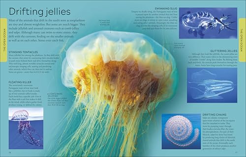 Ocean: A Visual Encyclopedia