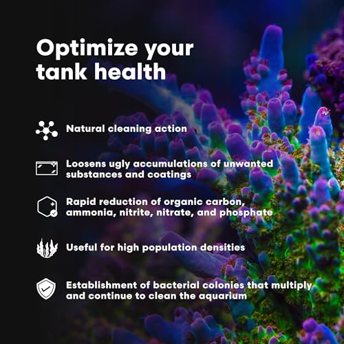 Brightwell Aquatics MicroBacter Clean - Aquarium Cleaner
