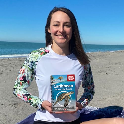 Caribbean Ocean Life Guide
