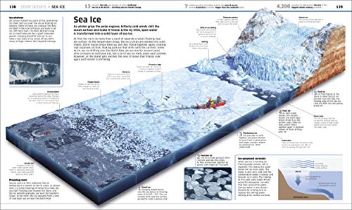 Knowledge Encyclopedia Ocean!
