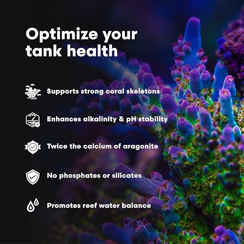 Brightwell Aquatics Liquid Reef Supplement