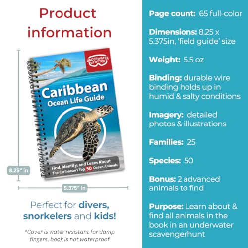 Caribbean Ocean Life Guide