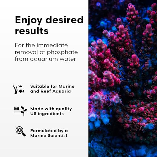 Brightwell Aquatics Phosphat-E for Marine Aquariums