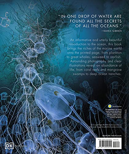 Oceanology: Secrets of the Sea