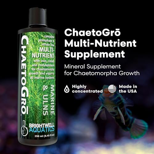 Brightwell Aquatics ChaetoGro Algae Supplement