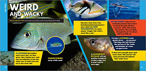 The Fascinating Ocean Book for Kids