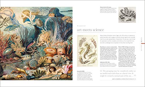 Oceanology: Secrets of the Sea