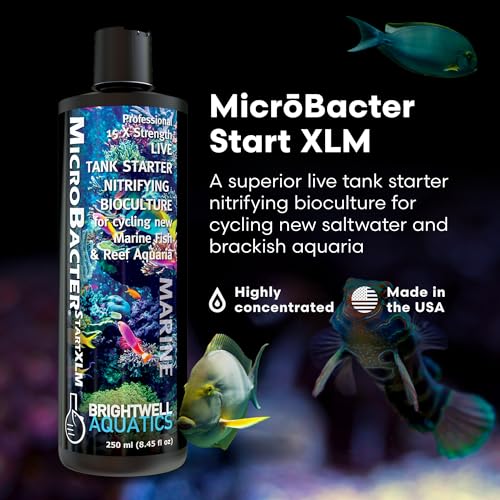 Brightwell Aquatics MicroBacter Start XLM - Saltwater Nitrifying Bacte