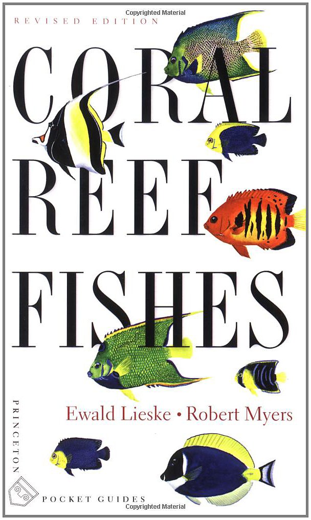 Coral Reef Fishes: Caribbean, Indian Ocean and Pacific Ocean Including the Red Sea - Revised Edition      Paperback – Illustrated, Jan. 15 2002