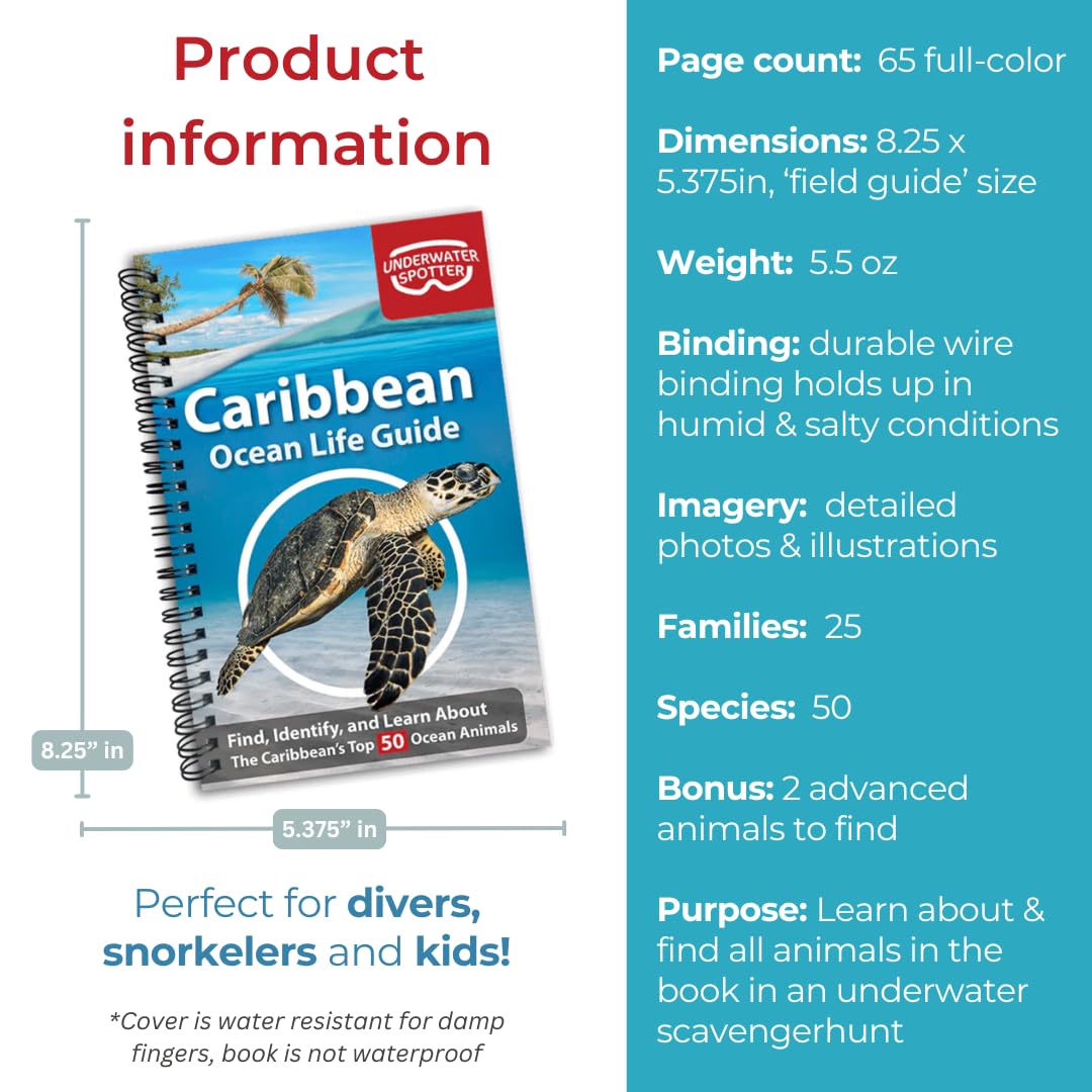 Caribbean Ocean Life Guide