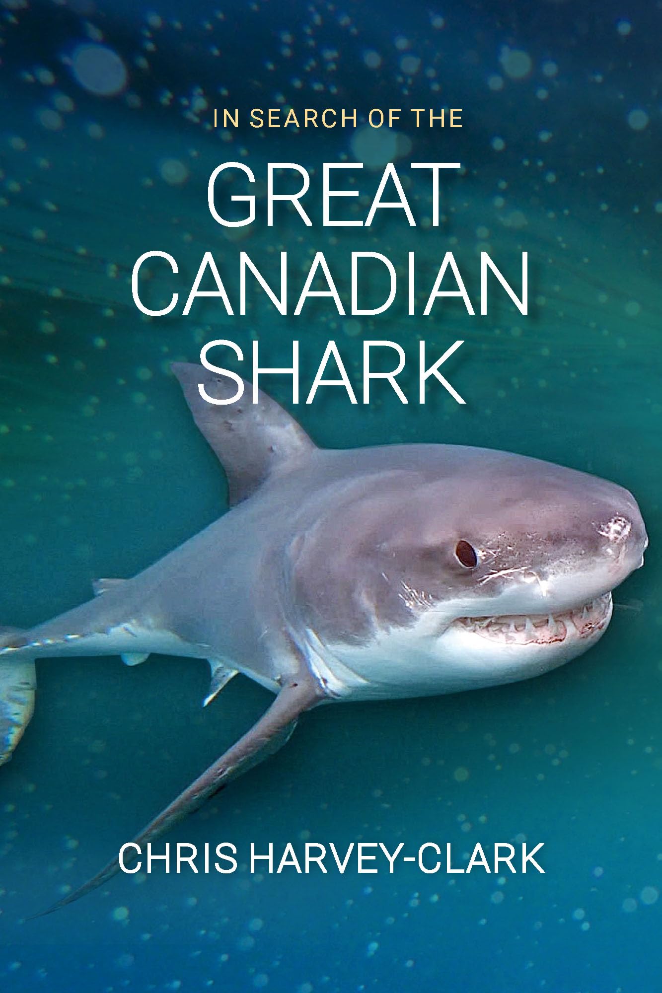 In Search of Great Canadian Sharks
