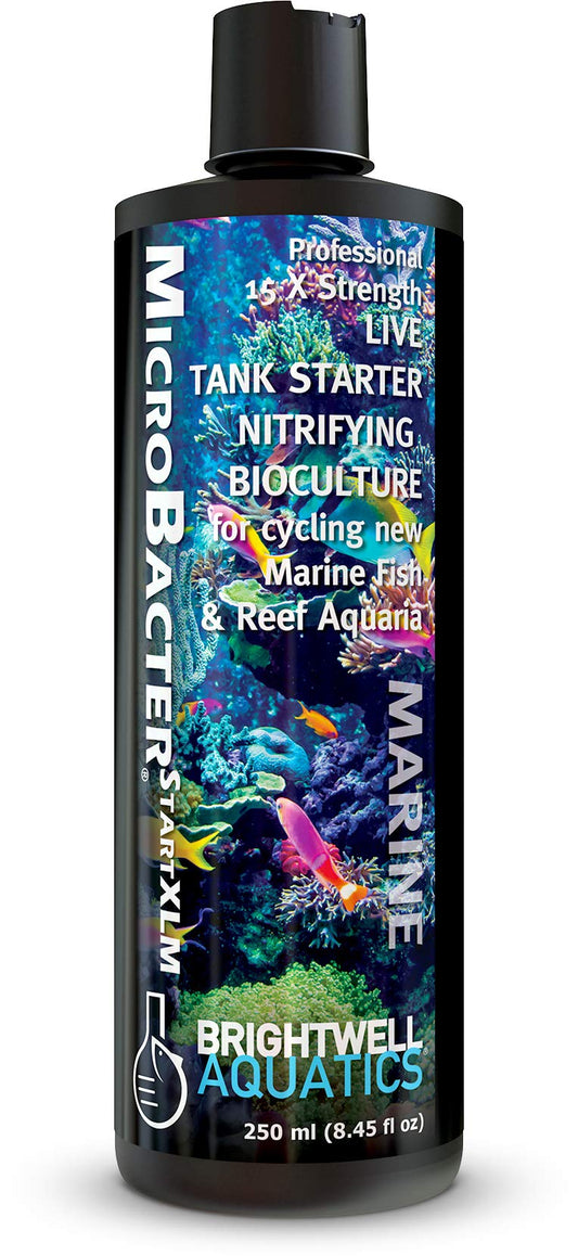 Brightwell Aquatics MicroBacter Start XLM - Saltwater Nitrifying Bacte