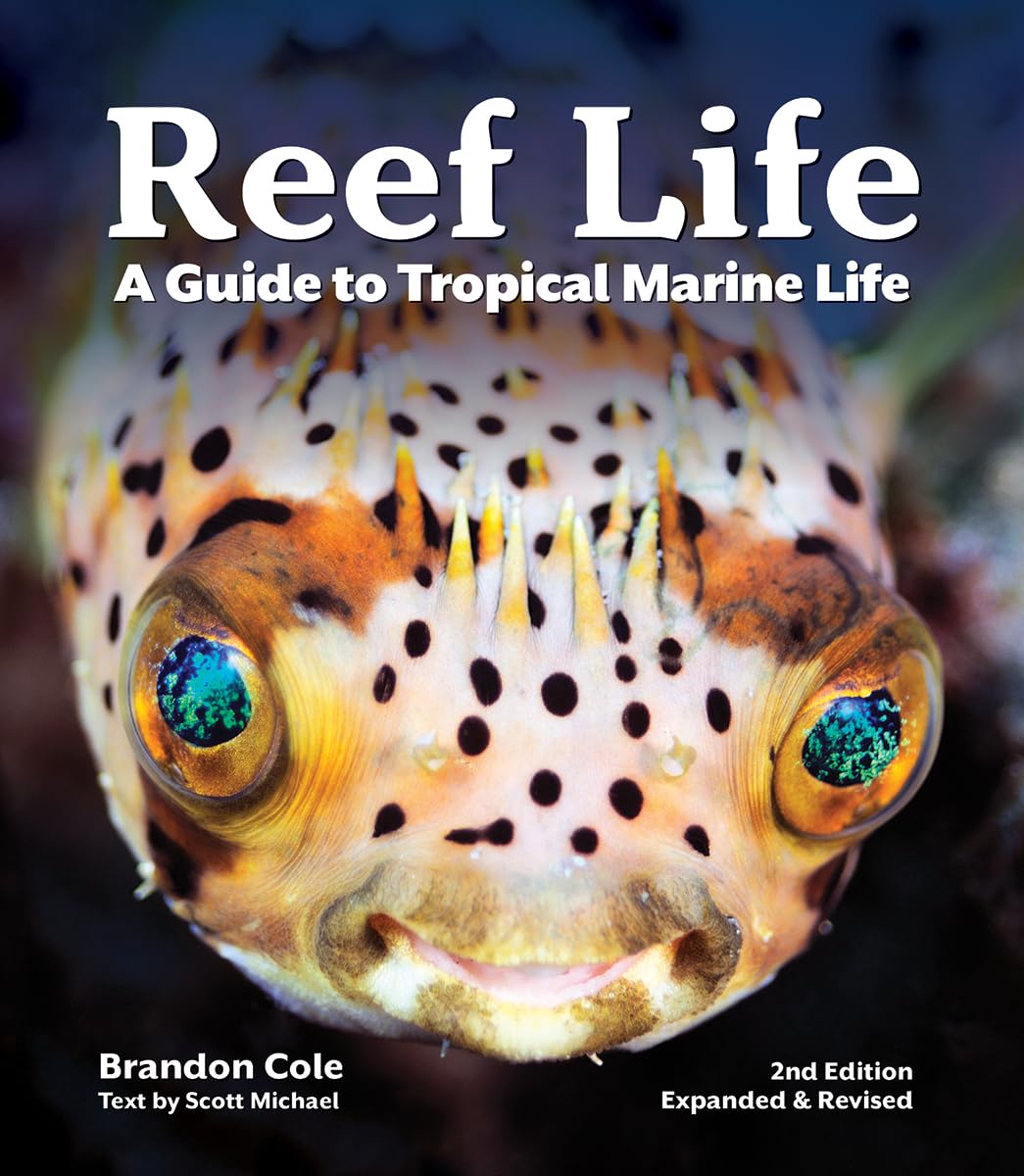 Reef Life: A Guide to Tropical Marine Life      Paperback – Oct. 8 2020