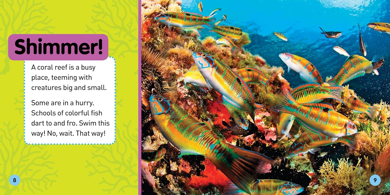 Explore My World: Coral Reefs      Paperback – March 6 2018